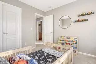 192 Peabody St, Castle Rock, CO 80104 - Photo 24