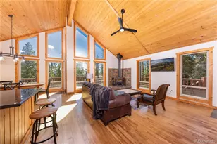 18 Puma Crossing, Fairplay, CO 80440 - Photo 1