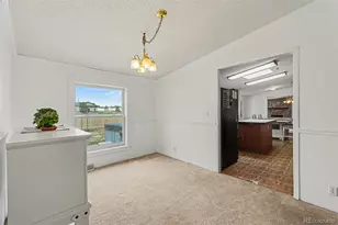 15925 Havana Way, Brighton, CO 80602 - Photo 22