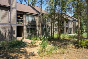 100 Bryant Blvd, Fraser, CO 80442 - Photo 28