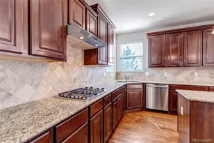 17016 Pale Anemone St, Parker, CO 80134 - Photo 12