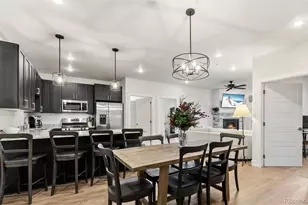 235 E La Bonte Street, Dillon, CO 80435 - Photo 12