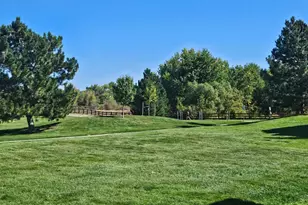 17389 Nature Walk Tr, Parker, CO 80134 - Photo 32