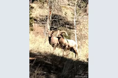 7823 County Road 43, Bailey, CO 80421 - Photo 50