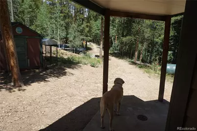 7823 County Road 43, Bailey, CO 80421 - Photo 12