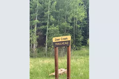 7823 County Road 43, Bailey, CO 80421 - Photo 46