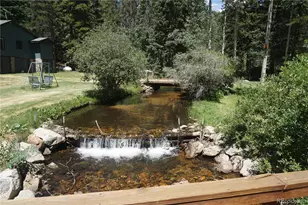 7823 Co Rd 43, Bailey, CO 80421 - Photo 14