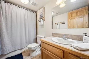585 Miners Way, Fairplay, CO 80440 - Photo 22