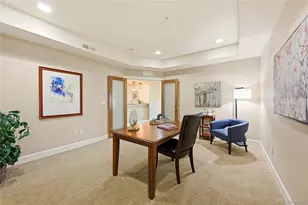 2317 Primo Road, Highlands Ranch, CO 80129 - Photo 30