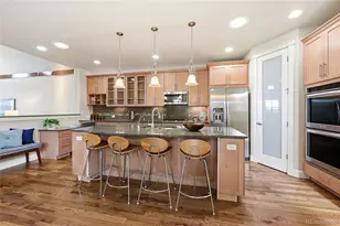 2317 Primo Road, Highlands Ranch, CO 80129 - Photo 20