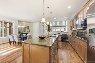 2317 Primo Road, Highlands Ranch, CO 80129 - Photo 10