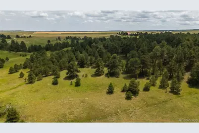 11771 E Smith Road, Elbert, CO 80106 - Photo 32