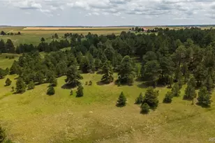 11771 E Smith Rd, Elbert, CO 80106 - Photo 32