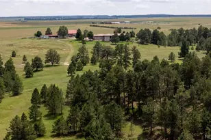 11771 E Smith Rd, Elbert, CO 80106 - Photo 24
