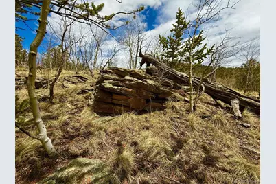 735 Quiver Road, Jefferson, CO 80456 - Photo 26