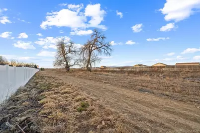 7003 Mount Nimbus Street, Wellington, CO 80549 - Photo 22