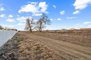 7003 Mt Nimbus St, Wellington, CO 80549 - Photo 22