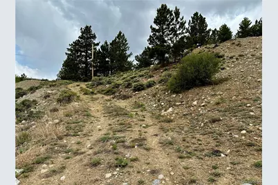 9 Mount Hope Drive, Twin Lakes, CO 81251 - Photo 10