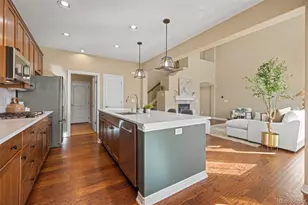 9186 Viaggio Way, Highlands Ranch, CO 80126 - Photo 6