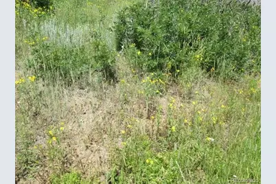 Lot 32 Raspberry Mountain Ranch, La Veta, CO 81055 - Photo 4