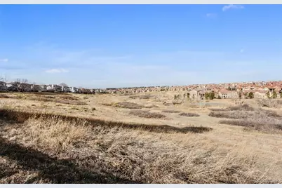 2981 Montclair Court, Highlands Ranch, CO 80126 - Photo 40