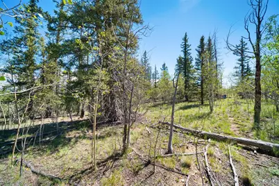 1049 Teton Trail, Como, CO 80456 - Photo 18