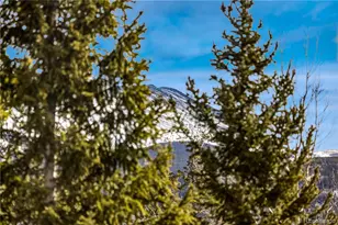 1001 Grandview Dr, Breckenridge, CO 80424 - Photo 14