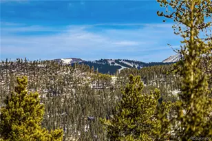 1001 Grandview Dr, Breckenridge, CO 80424 - Photo 26