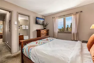 1001 Grandview Dr, Breckenridge, CO 80424 - Photo 16