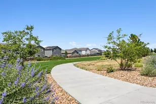 7409 Arkansas St, Frederick, CO 80530 - Photo 6
