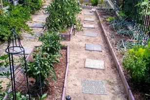 1437 Criterion St, Delta, CO 81416 - Photo 20