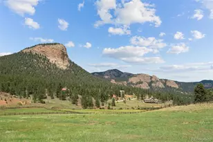 265 Blue Spruce Dr, Pine, CO 80470 - Photo 46