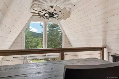 265 Blue Spruce Drive, Pine, CO 80470 - Photo 28