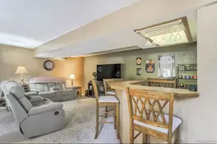 310 Tam O Shanter Way, Monument, CO 80132 - Photo 28