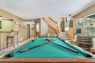 310 Tam O Shanter Way, Monument, CO 80132 - Photo 26