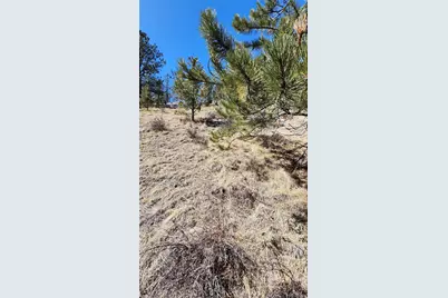 267 Ward Street, Bailey, CO 80421 - Photo 12