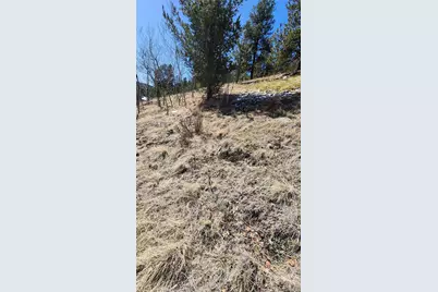 267 Ward Street, Bailey, CO 80421 - Photo 4