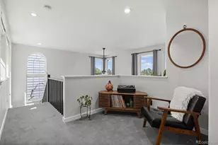 9747 Burberry Way, Highlands Ranch, CO 80129 - Photo 20