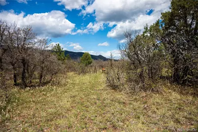 6128 Columbine Court, Larkspur, CO 80118 - Photo 32