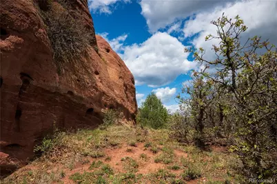 6128 Columbine Court, Larkspur, CO 80118 - Photo 48
