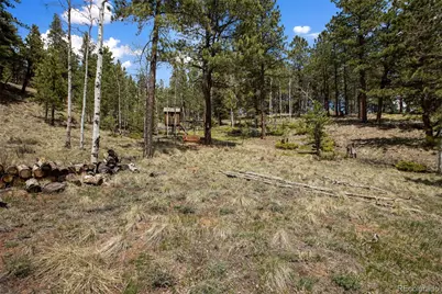 1011 W Bison Creek Trail, Divide, CO 80814 - Photo 30