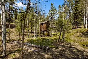 1011 W Bison Creek Trail, Divide, CO 80814 - Photo 4