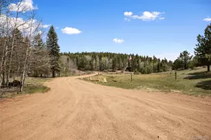 1011 W Bison Creek Trail, Divide, CO 80814 - Photo 6