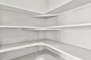 1683 Yampa River Dr, Windsor, CO 80550 - Photo 16