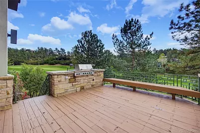 173 Ramshorn Drive, Castle Rock, CO 80108 - Photo 18