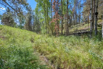 000 Lot 3 Indian Springs Road, Conifer, CO 80123 - Photo 8