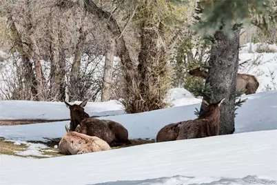 836 Vista Lane, Estes Park, CO 80517 - Photo 34