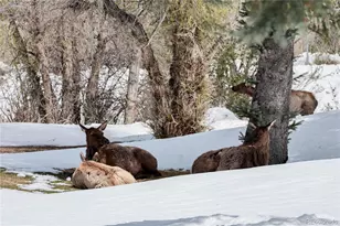 836 Vista Ln, Estes Park, CO 80517 - Photo 34