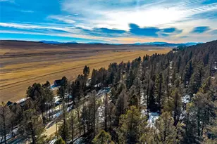 1423 Redhill Rd, Fairplay, CO 80440 - Photo 1