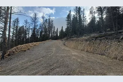 1423 Redhill Road, Fairplay, CO 80440 - Photo 40